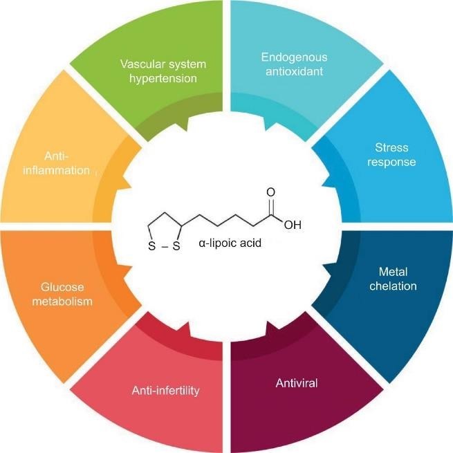 Mechanism illustrative image