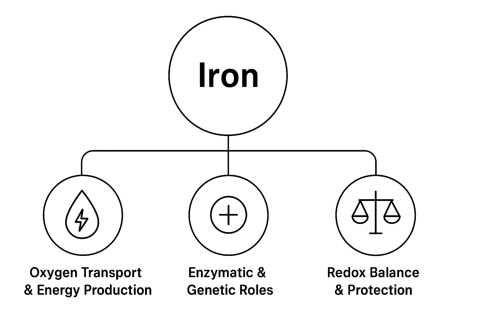 Mechanism illustrative image