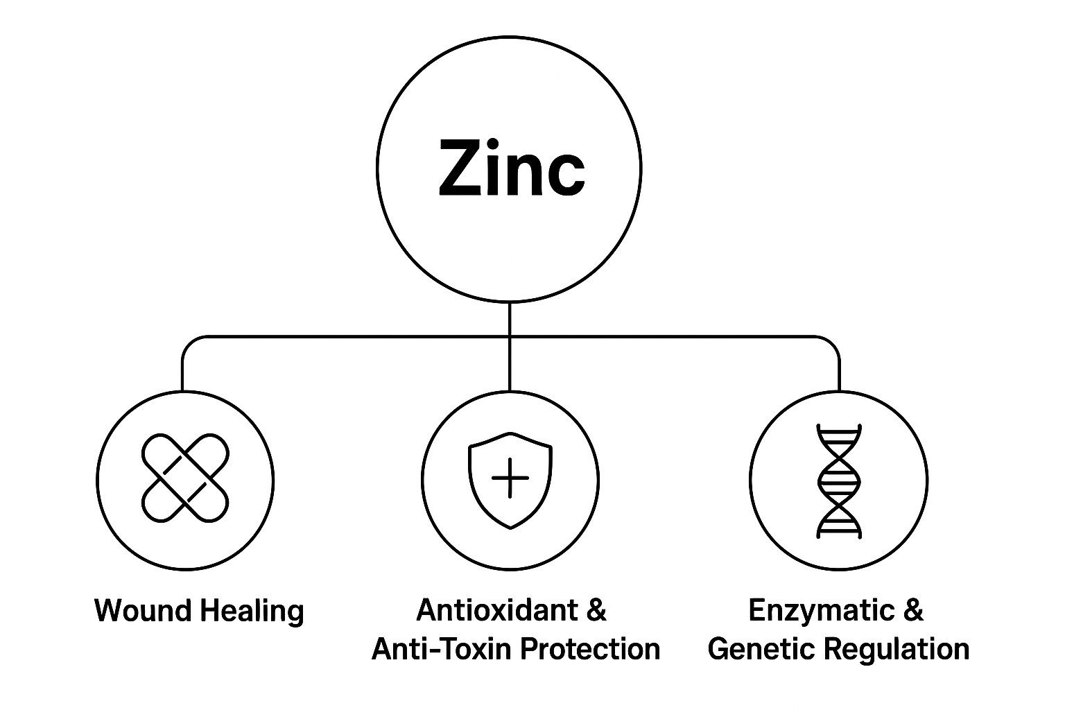 Mechanism illustrative image