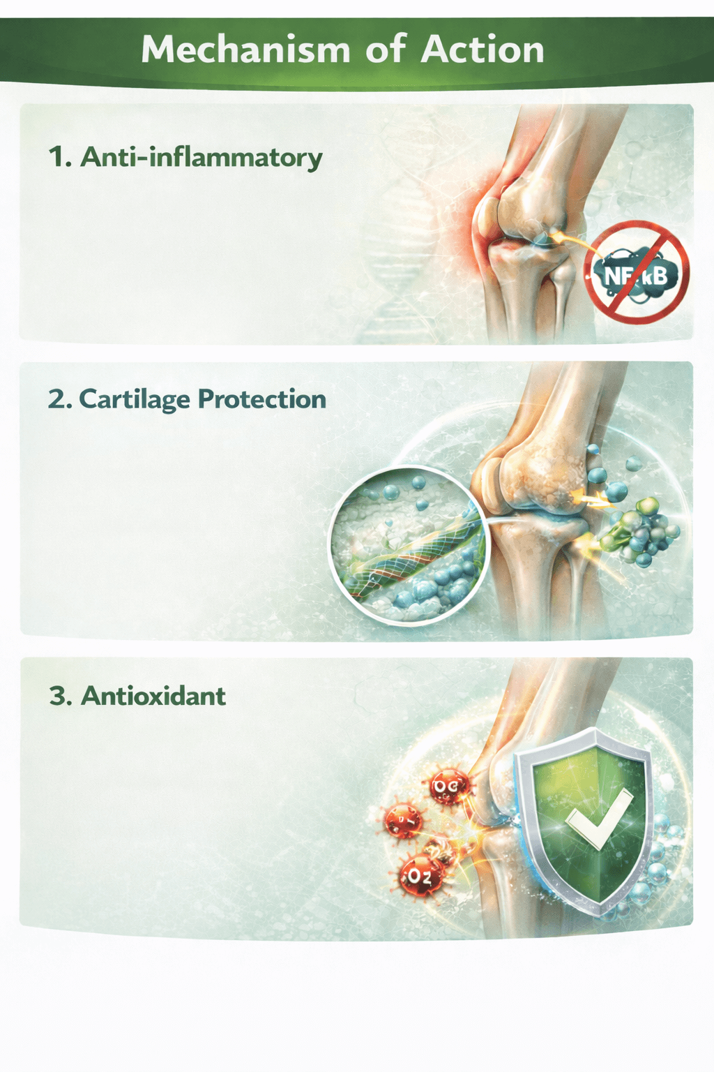 Mechanism illustrative image